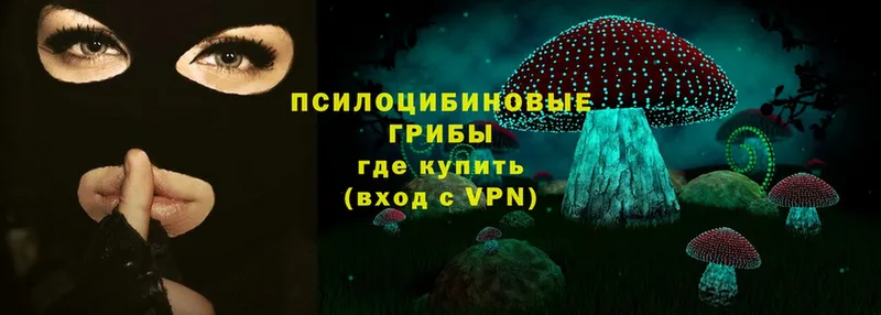 сколько стоит  Белый  Псилоцибиновые грибы Magic Shrooms 